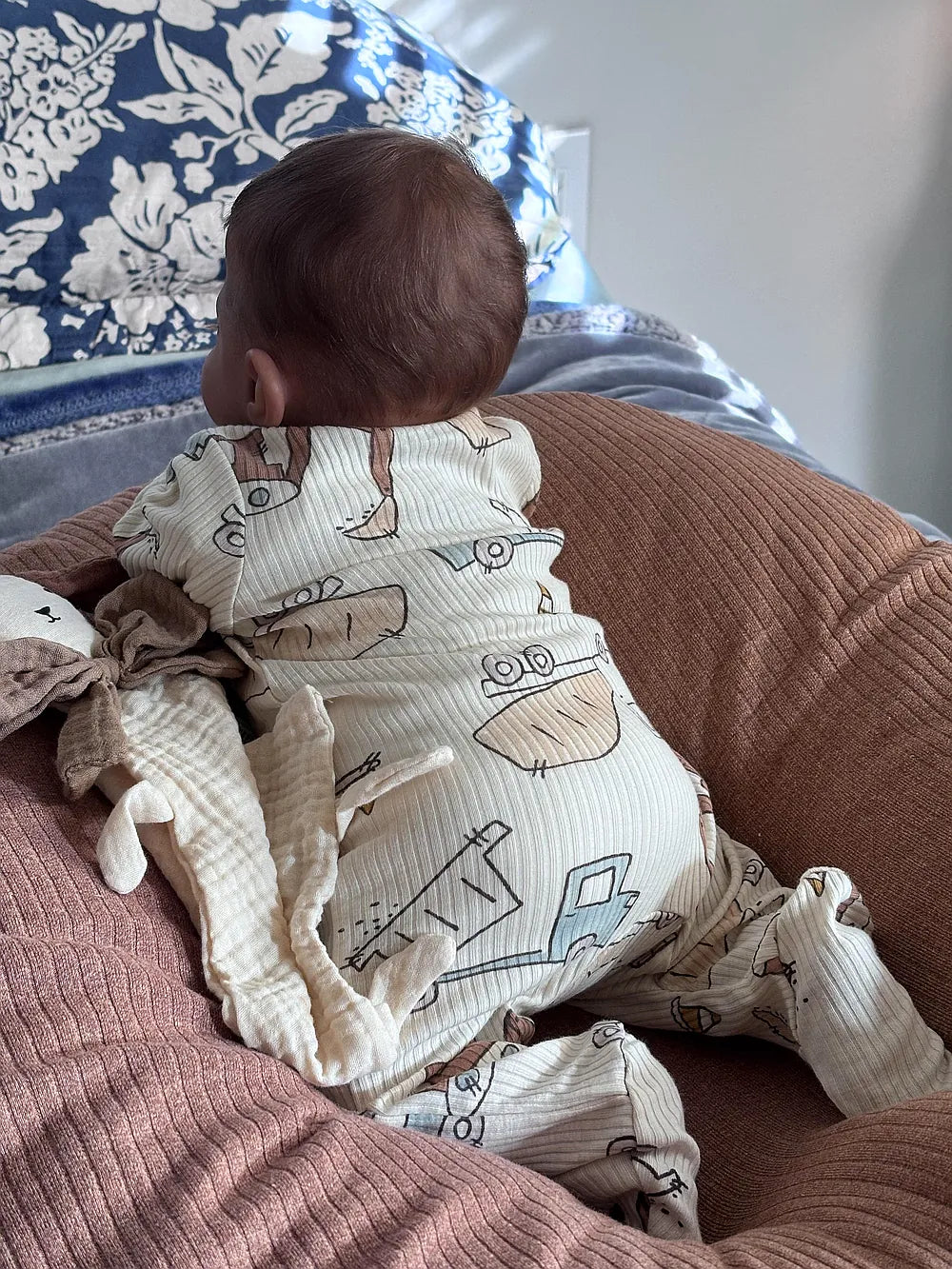 Muñeca Reborn Realista Santiago Niño| 55cm | 2,400 kg | Edición limitada + Pack Premium